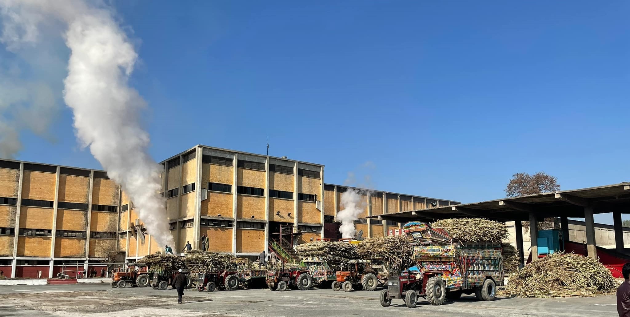 Tractors unloading sugarcane at a sugar mill with steam rising from factory chimneys